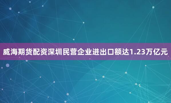 威海期货配资深圳民营企业进出口额达1.23万亿元