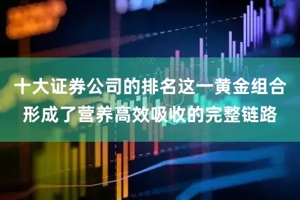 十大证券公司的排名这一黄金组合形成了营养高效吸收的完整链路
