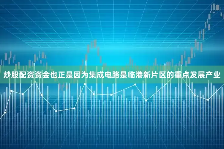 炒股配资资金也正是因为集成电路是临港新片区的重点发展产业