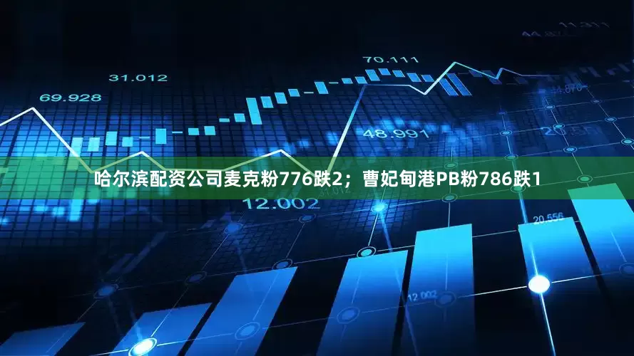 哈尔滨配资公司麦克粉776跌2；曹妃甸港PB粉786跌1