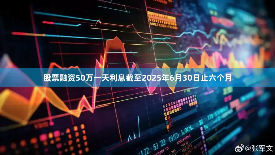 股票融资50万一天利息截至2025年6月30日止六个月