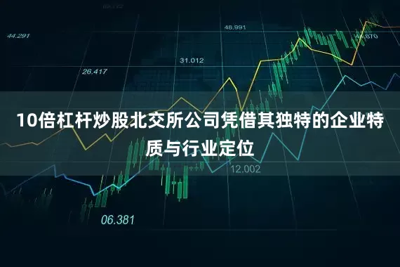 10倍杠杆炒股北交所公司凭借其独特的企业特质与行业定位