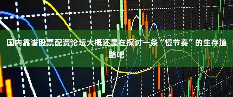 国内靠谱股票配资论坛大概还是在探讨一条“慢节奏”的生存道路吧