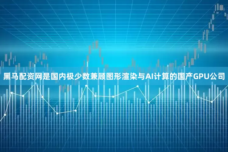 黑马配资网是国内极少数兼顾图形渲染与AI计算的国产GPU公司