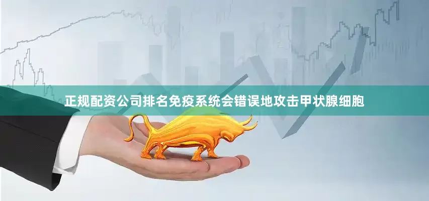 正规配资公司排名免疫系统会错误地攻击甲状腺细胞